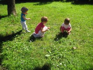 Sprehod IMG_3412