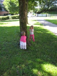 Sprehod IMG_3420