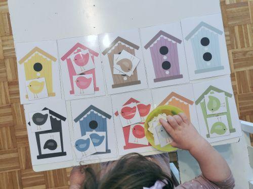 Razvrščanje ptičkov po hišicah