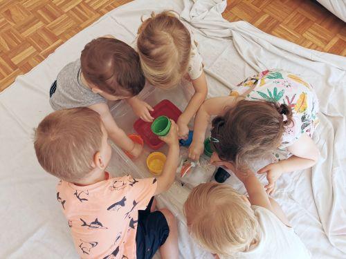 Morske živali v ledeni kocki