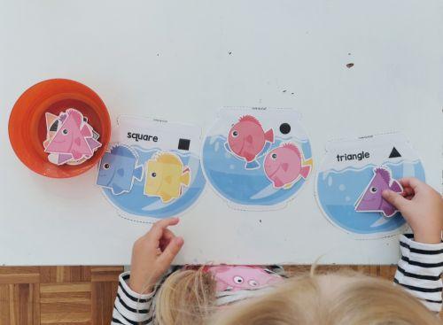 Razvrščanje rib po oblikah